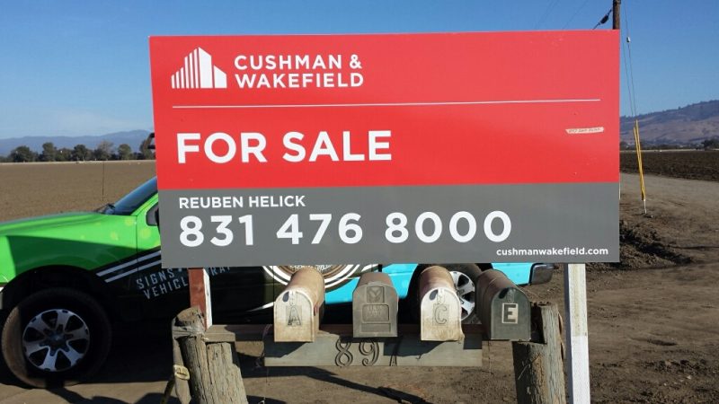 Cushman & Wakefield