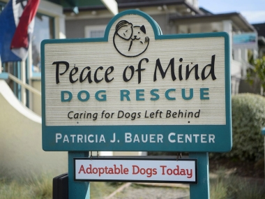 Peace of Mind Dog Rescue